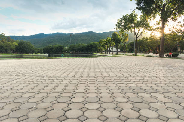 Best Residential Driveway Paver Services  in San Augustine, TX